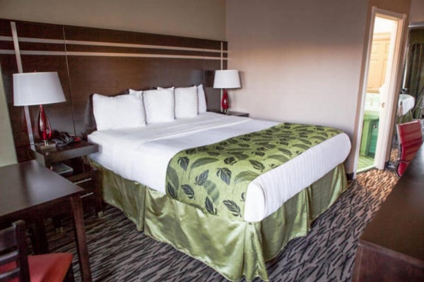 Motel Capri Main image